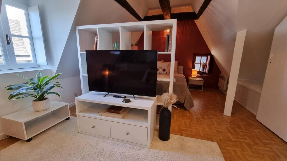 Cosy In Centre Appartement *